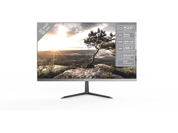Monitor Peaq PMOS323-IQSC  32 WQHD  5 ms  75 Hz  FreeSync  HDMI 2.0  Negro